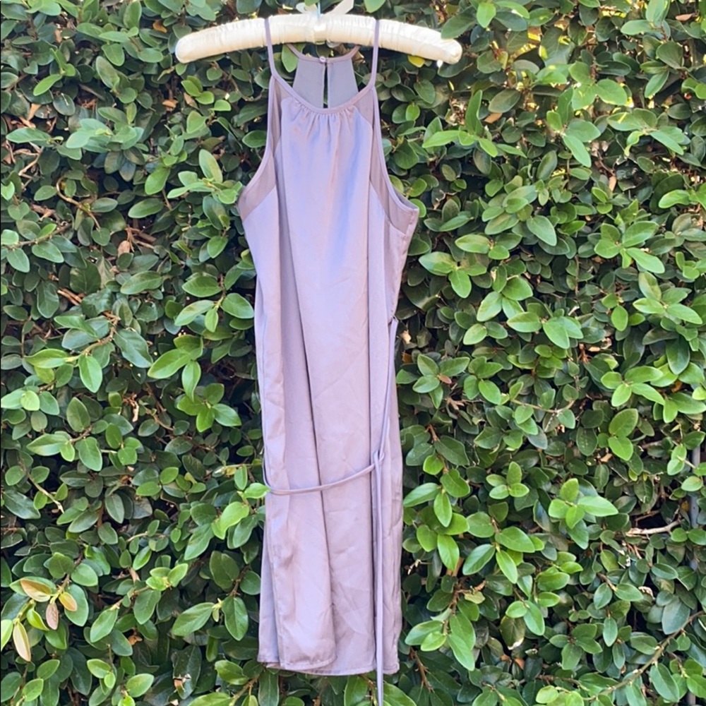 Naked Zebra Summer dress